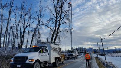 Emergency Arborist Services