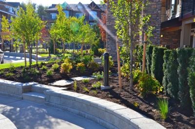 Commercial Landscaping