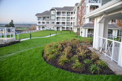 Commercial Landscaping