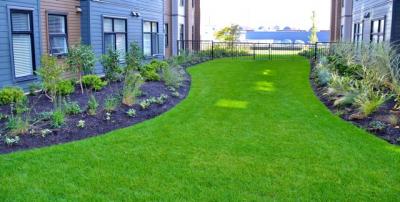 Commercial Landscaping