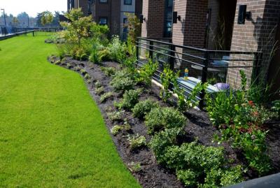 Commercial Landscaping